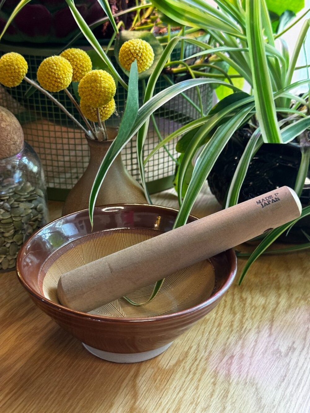Suribachi Mortar Bowl and Wood Surikogi Pestle Set, Brown, Japan